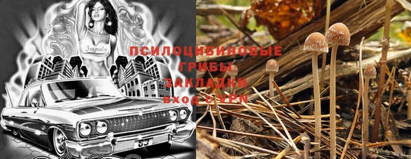 круглые Абаза