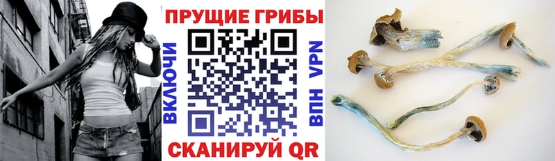 Псилоцибиновые грибы ЛСД Калининград