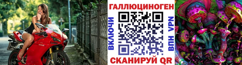 магазин    Калининград  Псилоцибиновые грибы Cubensis 