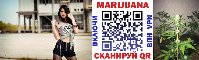Канабис план Калининград